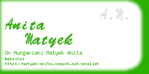 anita matyek business card